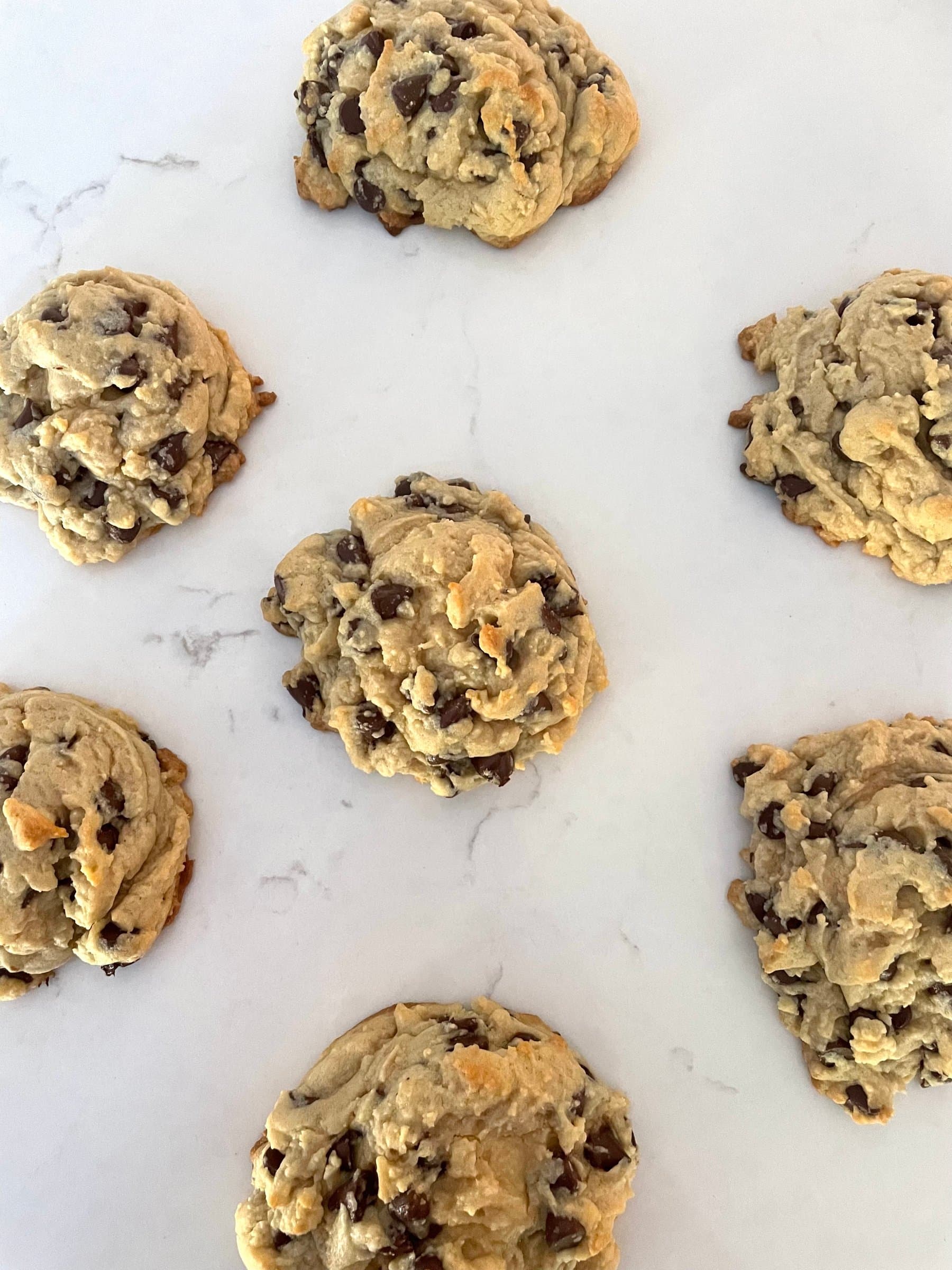 Chocolate chip cookies from Sweet Couture, the bakery Avery Zenz co-founded